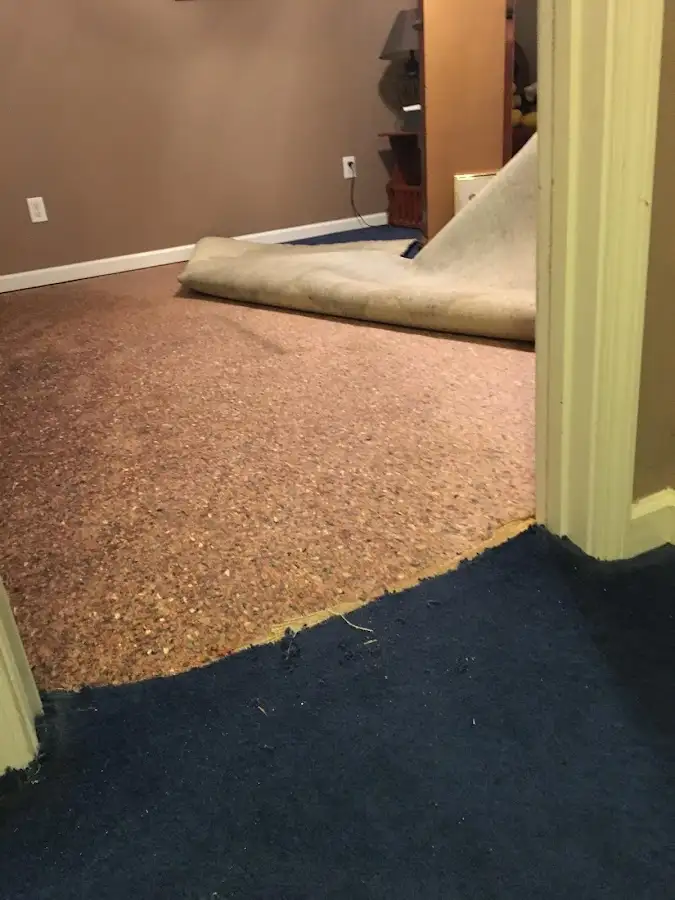 Carpet pad removal revealing water damage during Water Mitigation Services in Porter